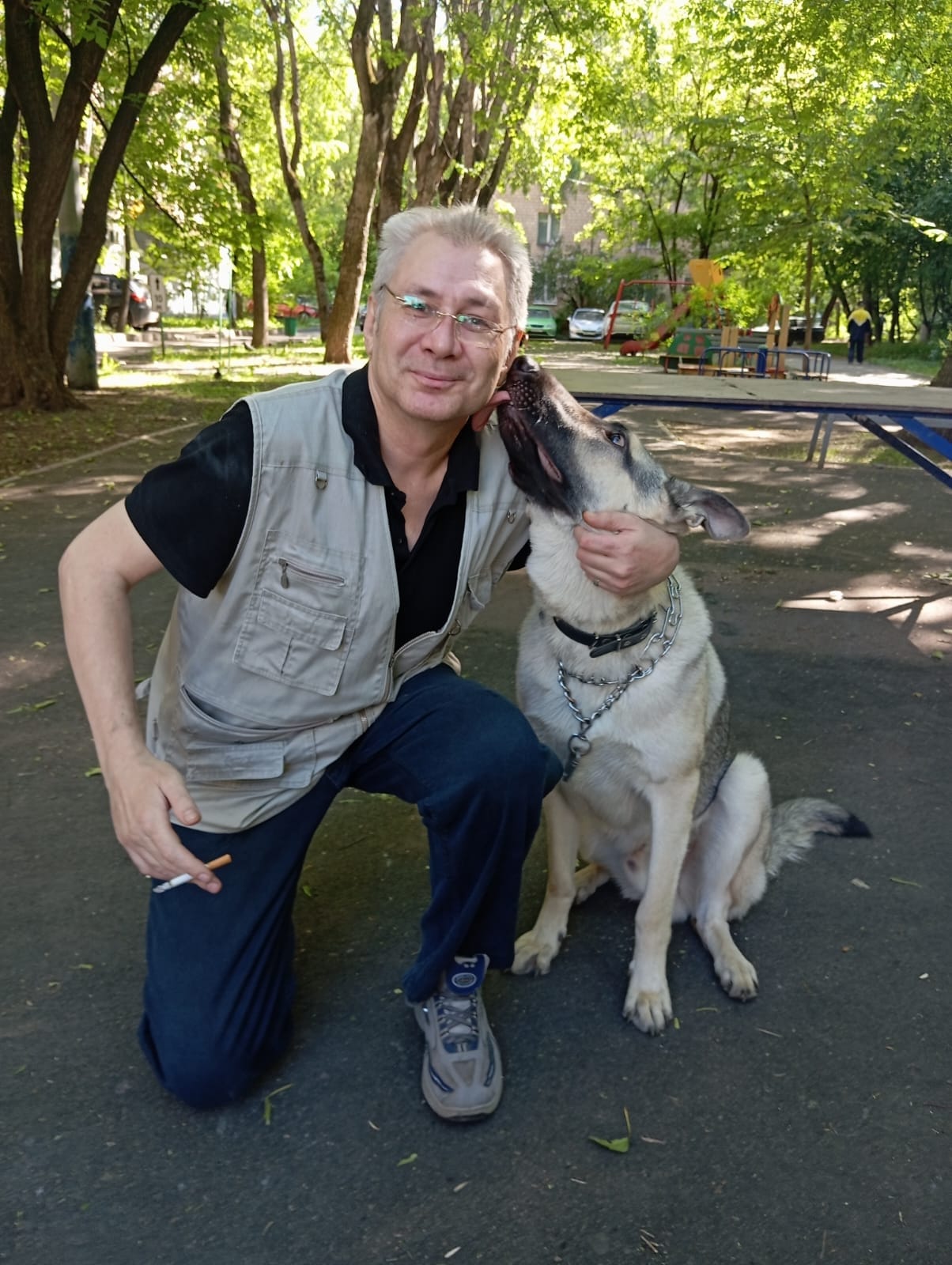 Кинолог: профессиональная дрессировка собак