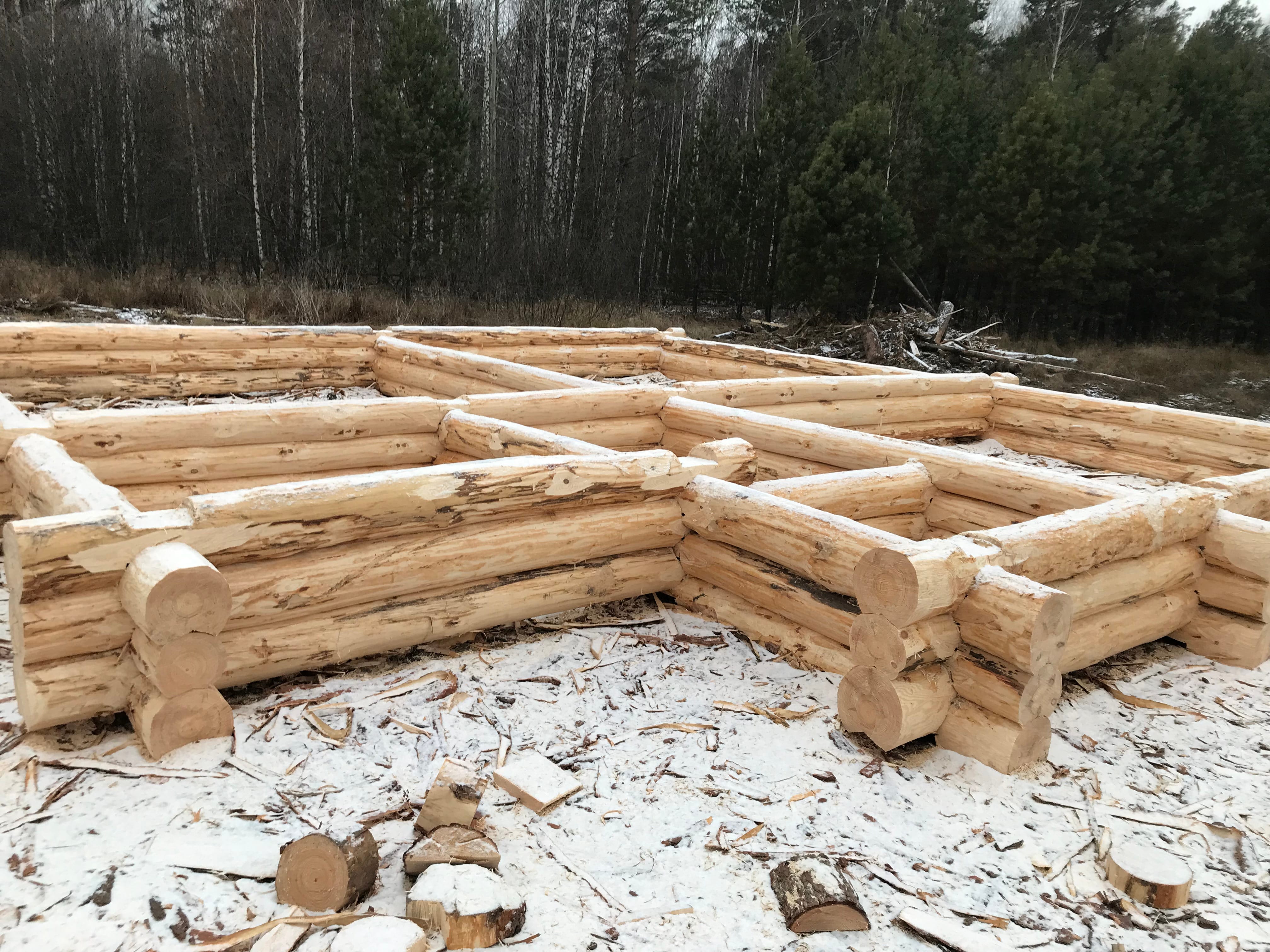 Срубы домов и бань из сосны на заказ — фото 5