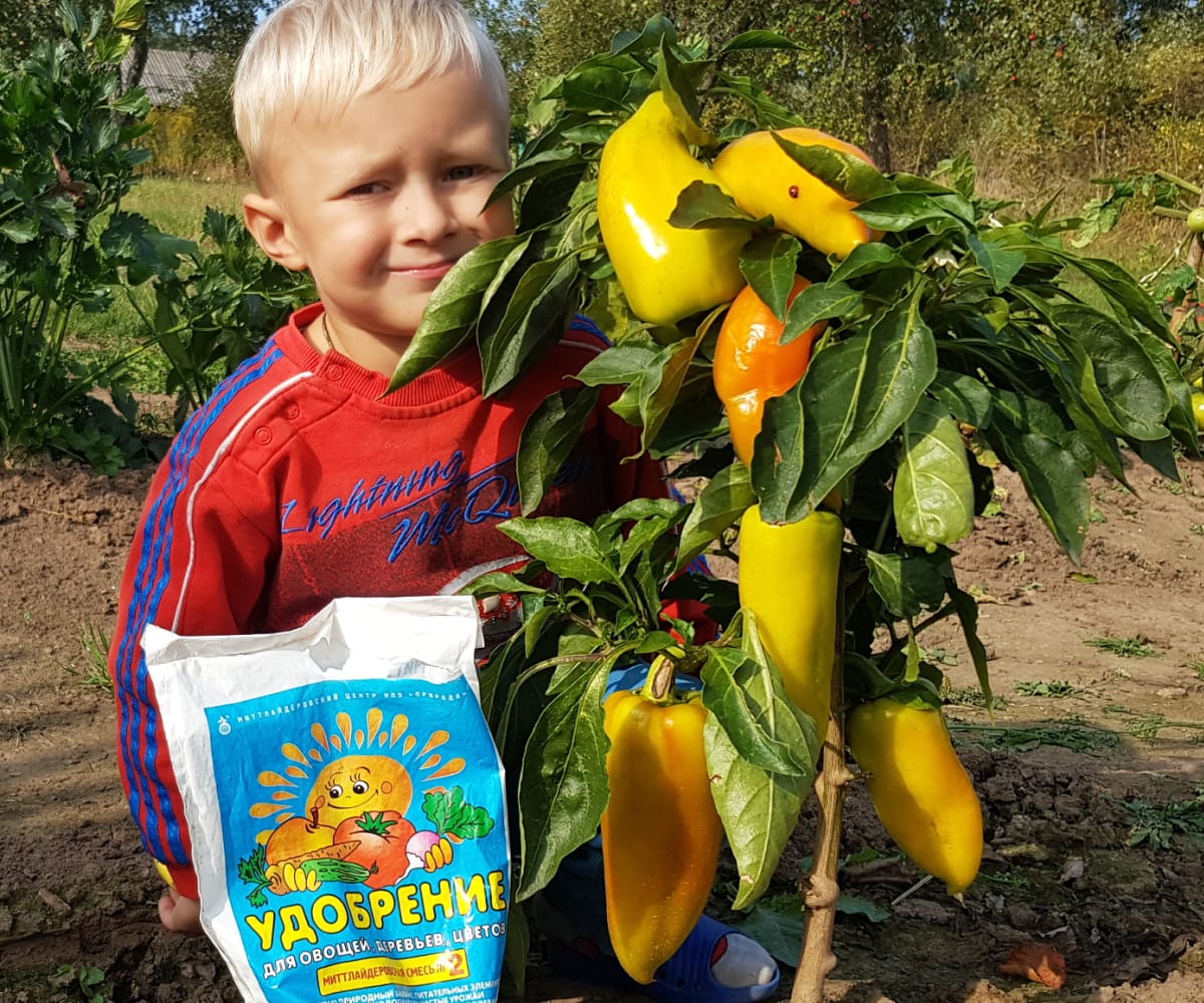 Комплексное минеральное удобрение миттлайдеровская смесь 2 — фото 5