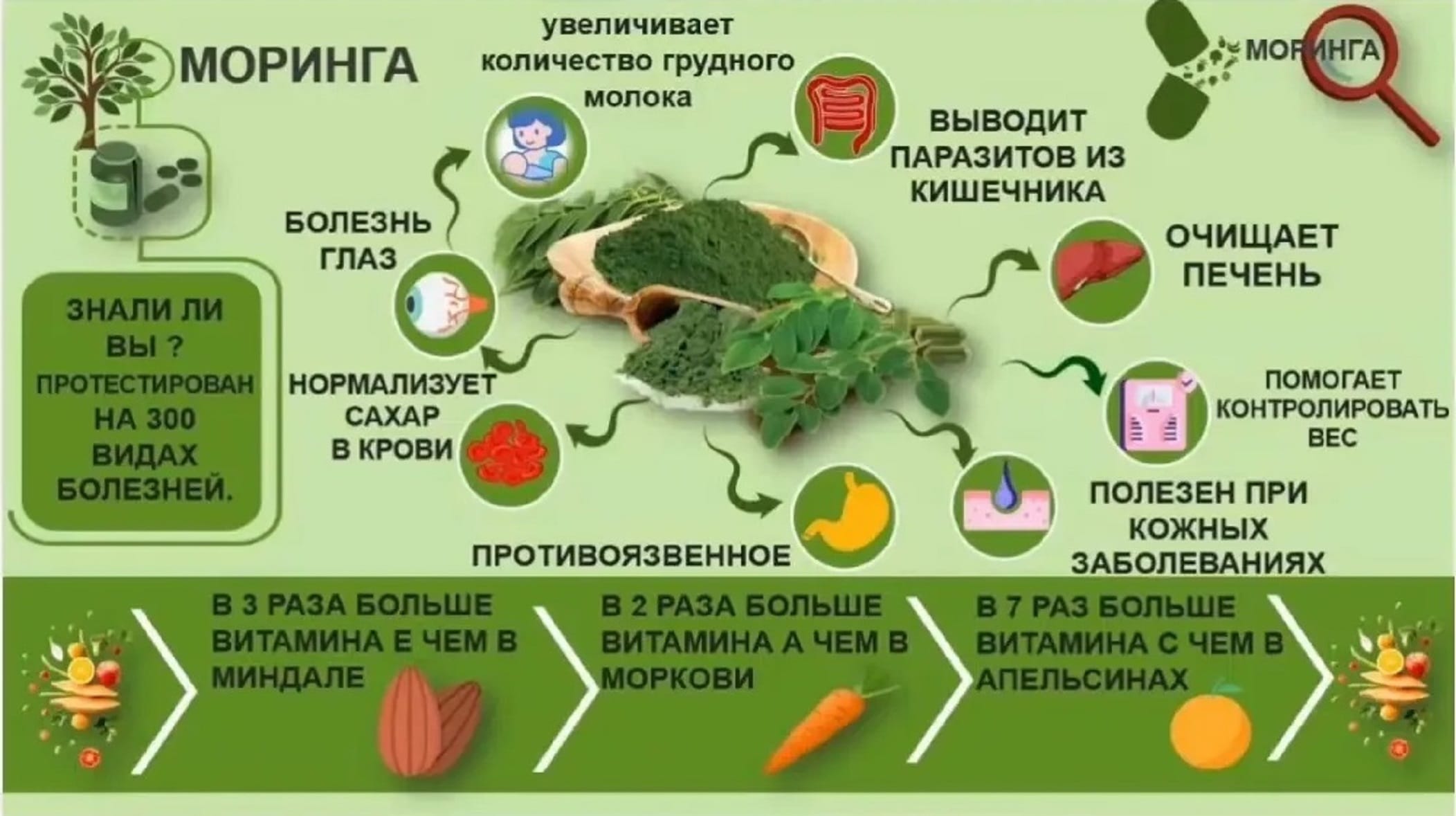Маска для лица, тела и волос МОРИНГА (порошок мелкодисперсный) — фото 2