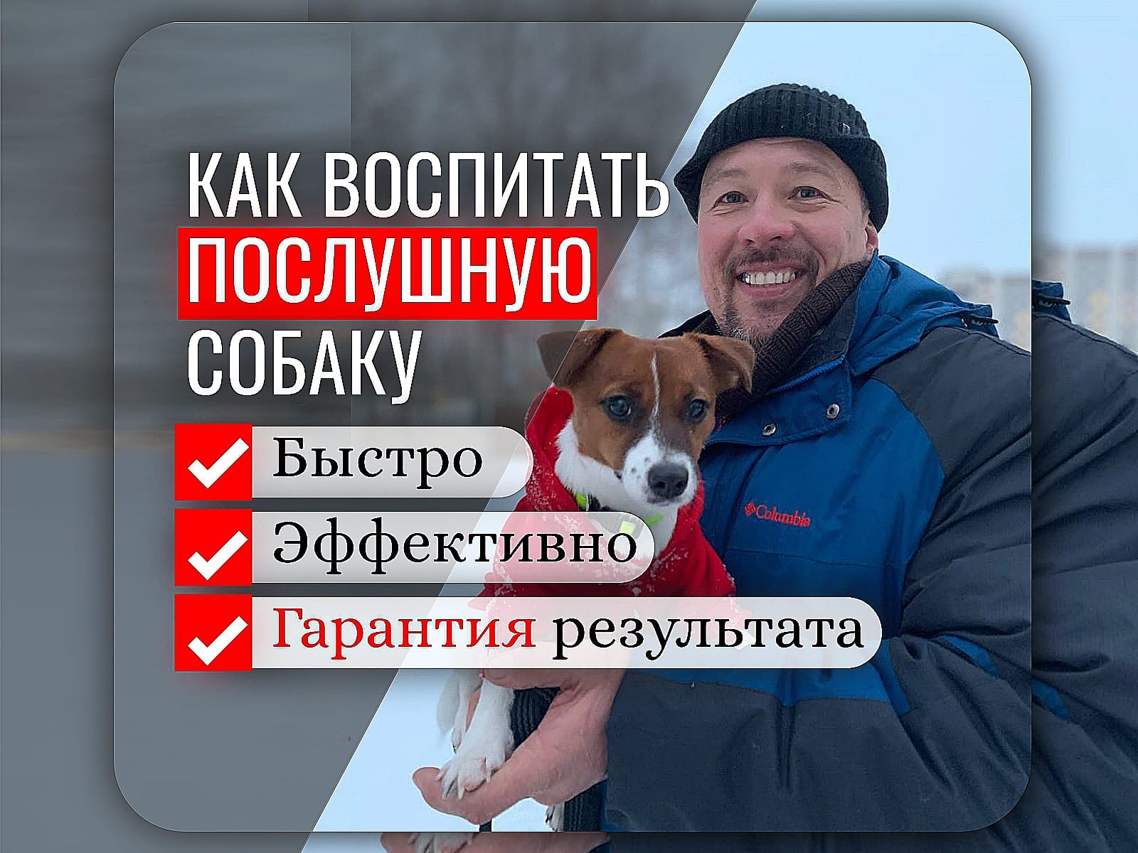 Дрессировка собак Нижнекамск