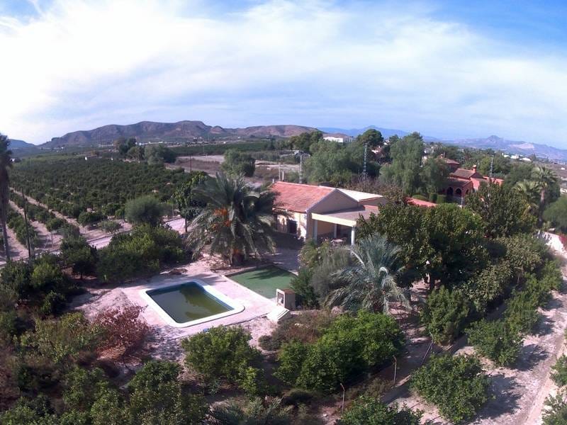 ПЛАНТАЦИЯ ЦИТРУСОВЫХ В ИСПАНИИ — фото 41