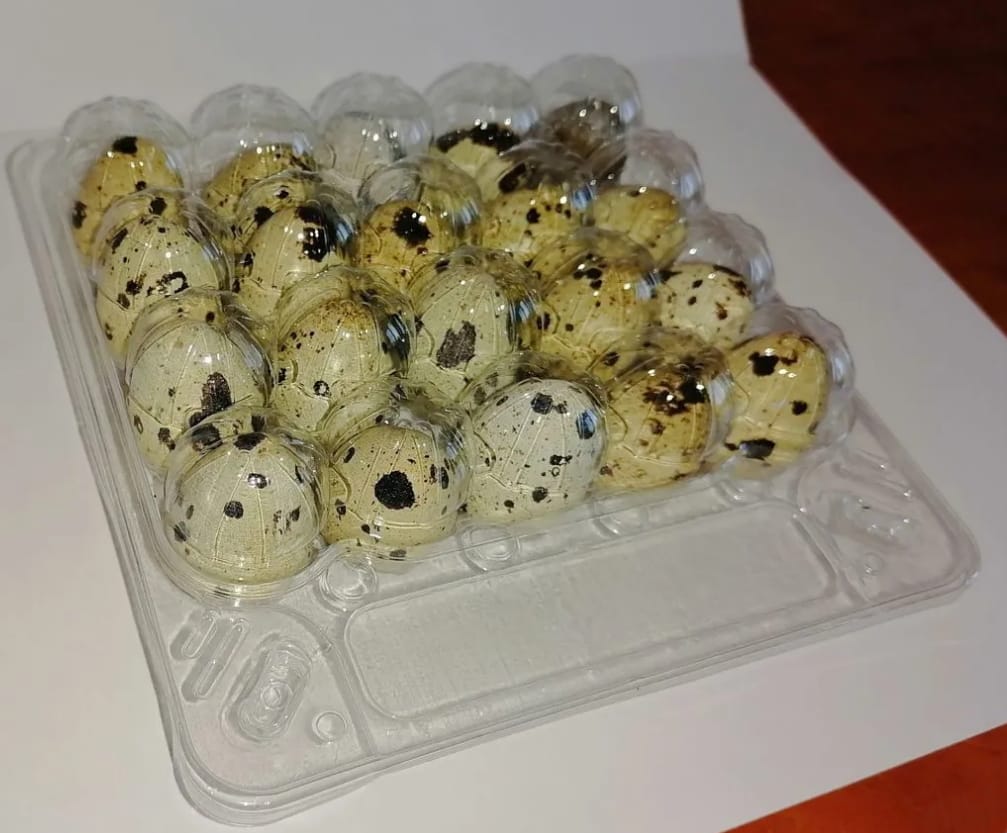 Упаковка для перепелиных яиц на 20 штук — фото 2