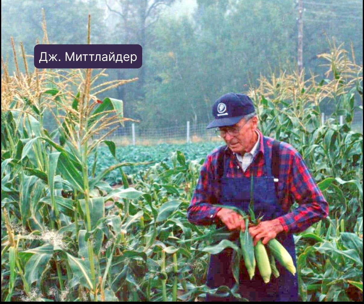 Комплексное минеральное удобрение миттлайдеровская смесь 2 — фото 4