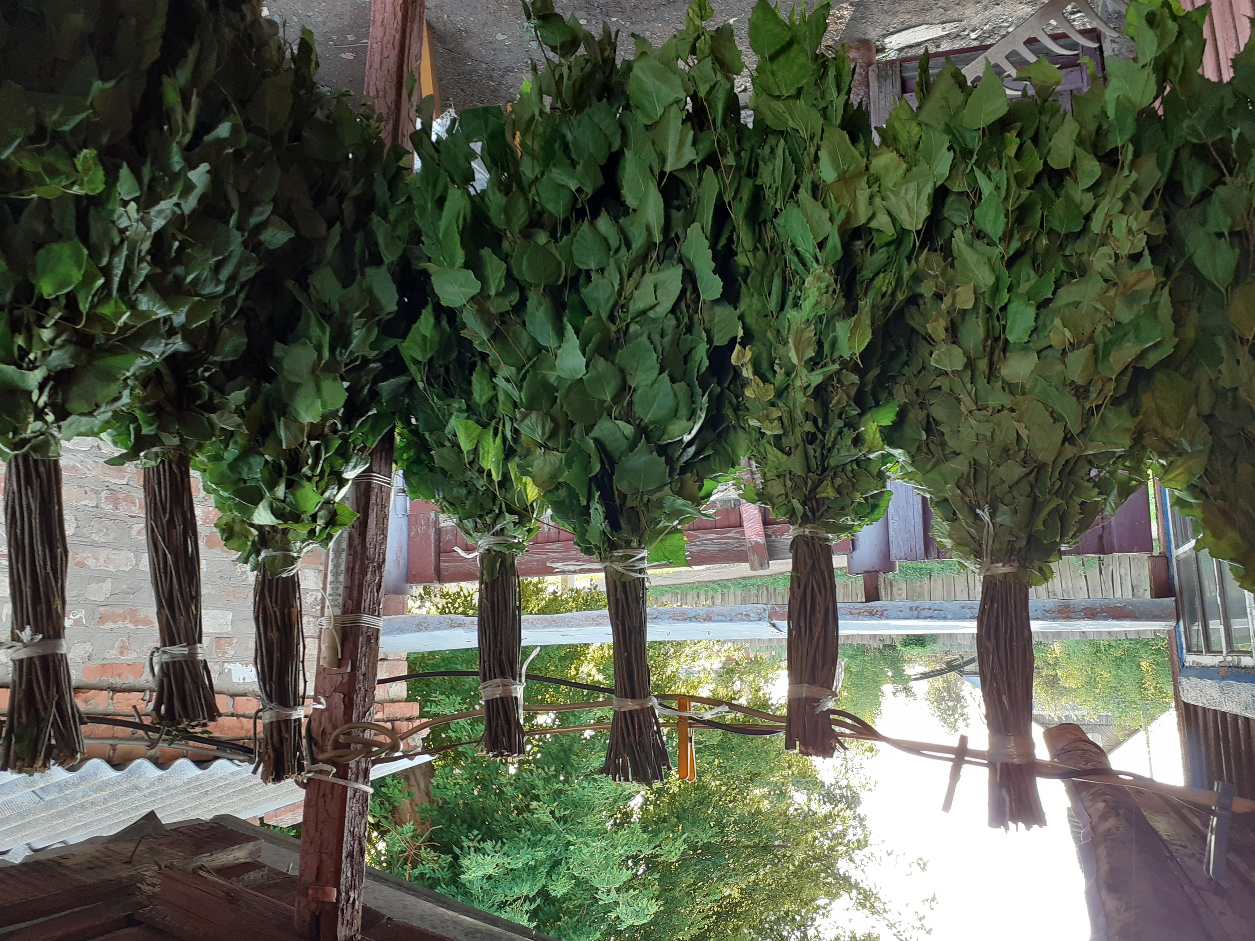 Веники для бани. — фото 4