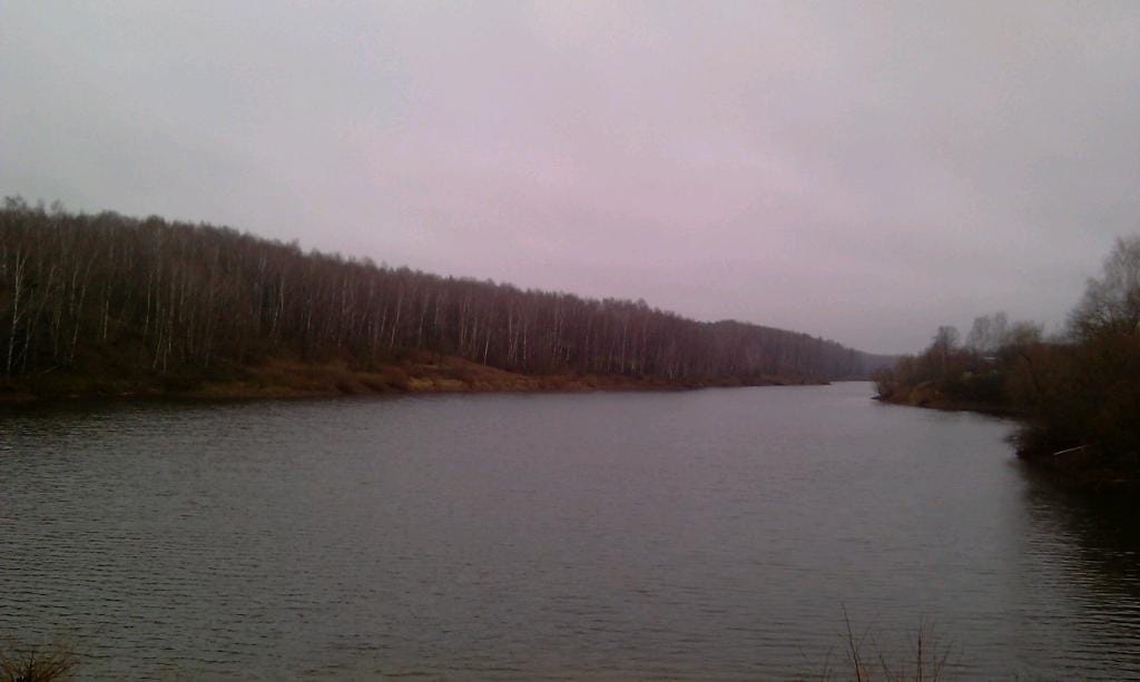 Участок ИЖС в деревне с газом и электричеством — фото 3