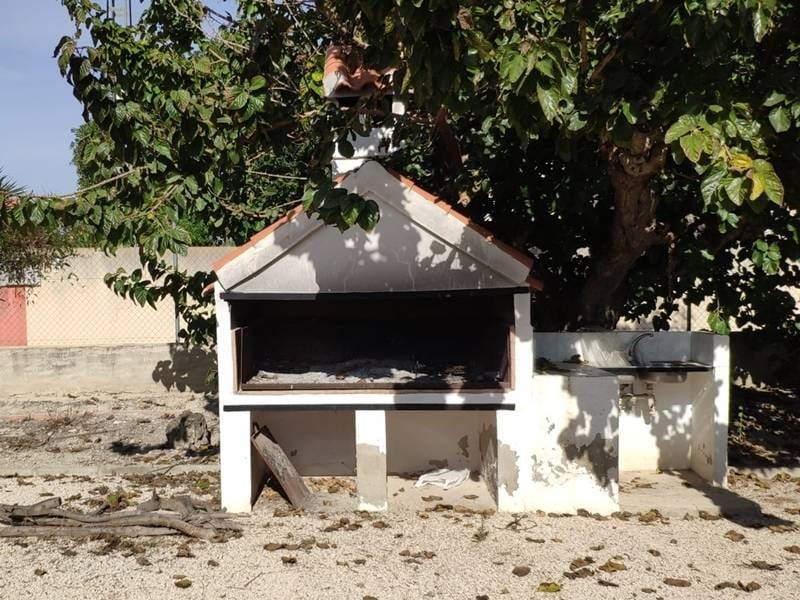 ПЛАНТАЦИЯ ЦИТРУСОВЫХ В ИСПАНИИ — фото 39