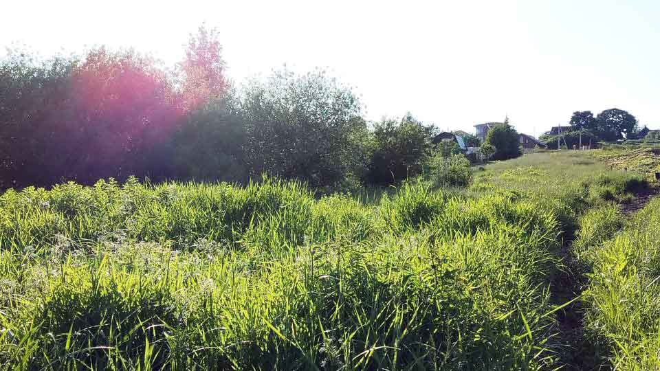 Участок 5.96 сотки Покровская Гатчина — 1 800 000 руб. — газ и свет по границе — фото 4