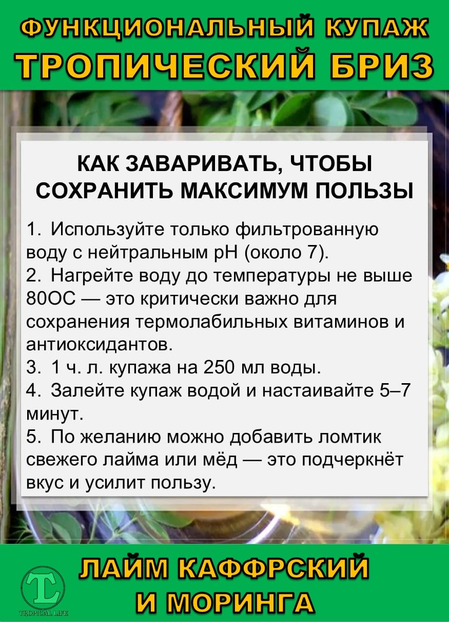 Функциональный купаж Тропический Бриз. Моринга и Каффрский лайм — фото 6