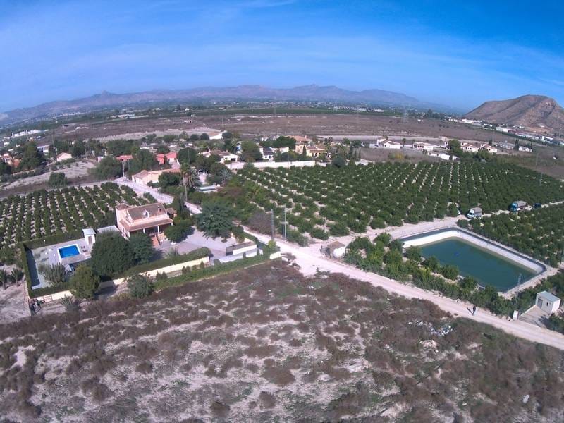 ПЛАНТАЦИЯ ЦИТРУСОВЫХ В ИСПАНИИ