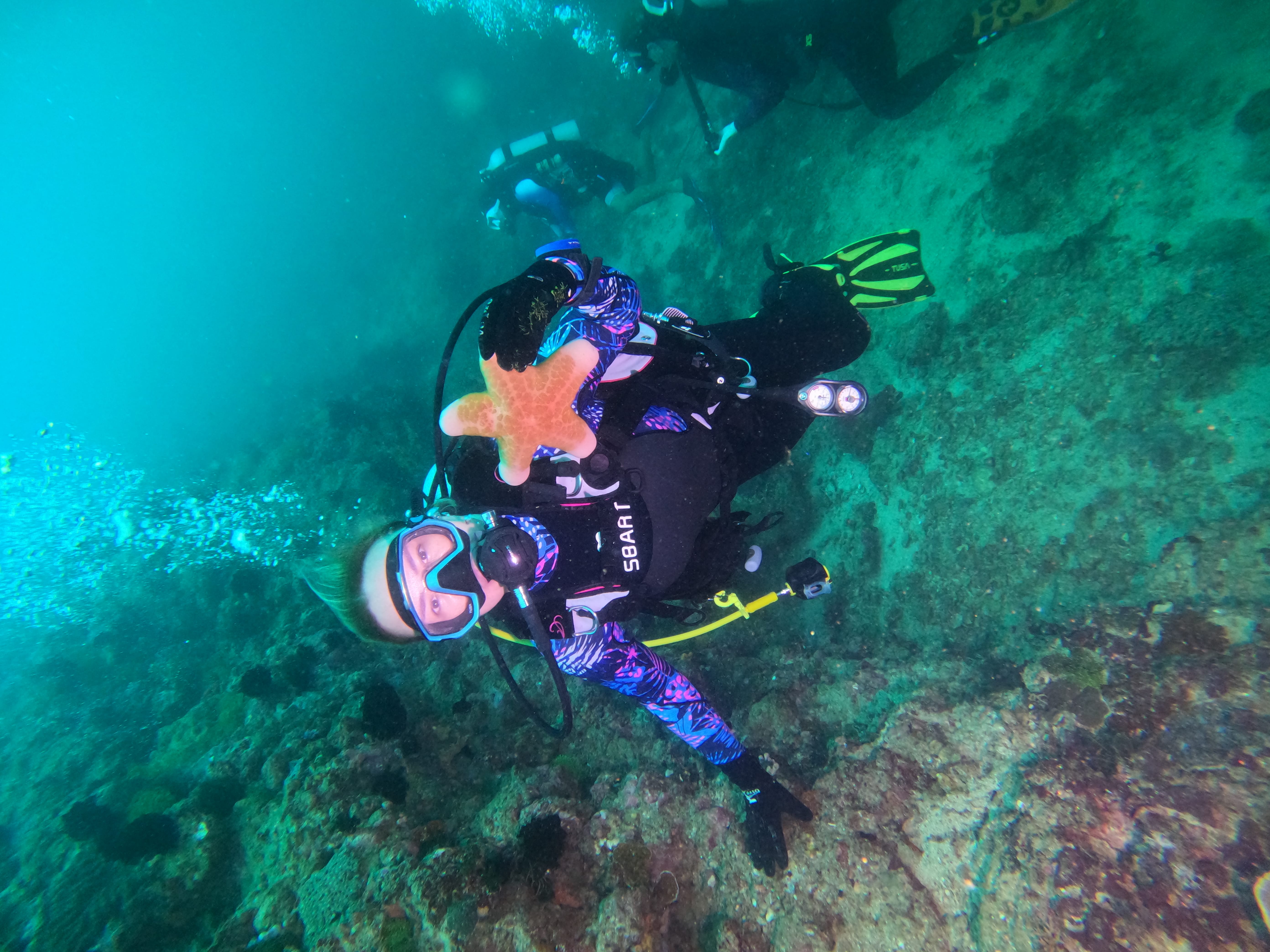 Курс дайвинга OWD базовый.