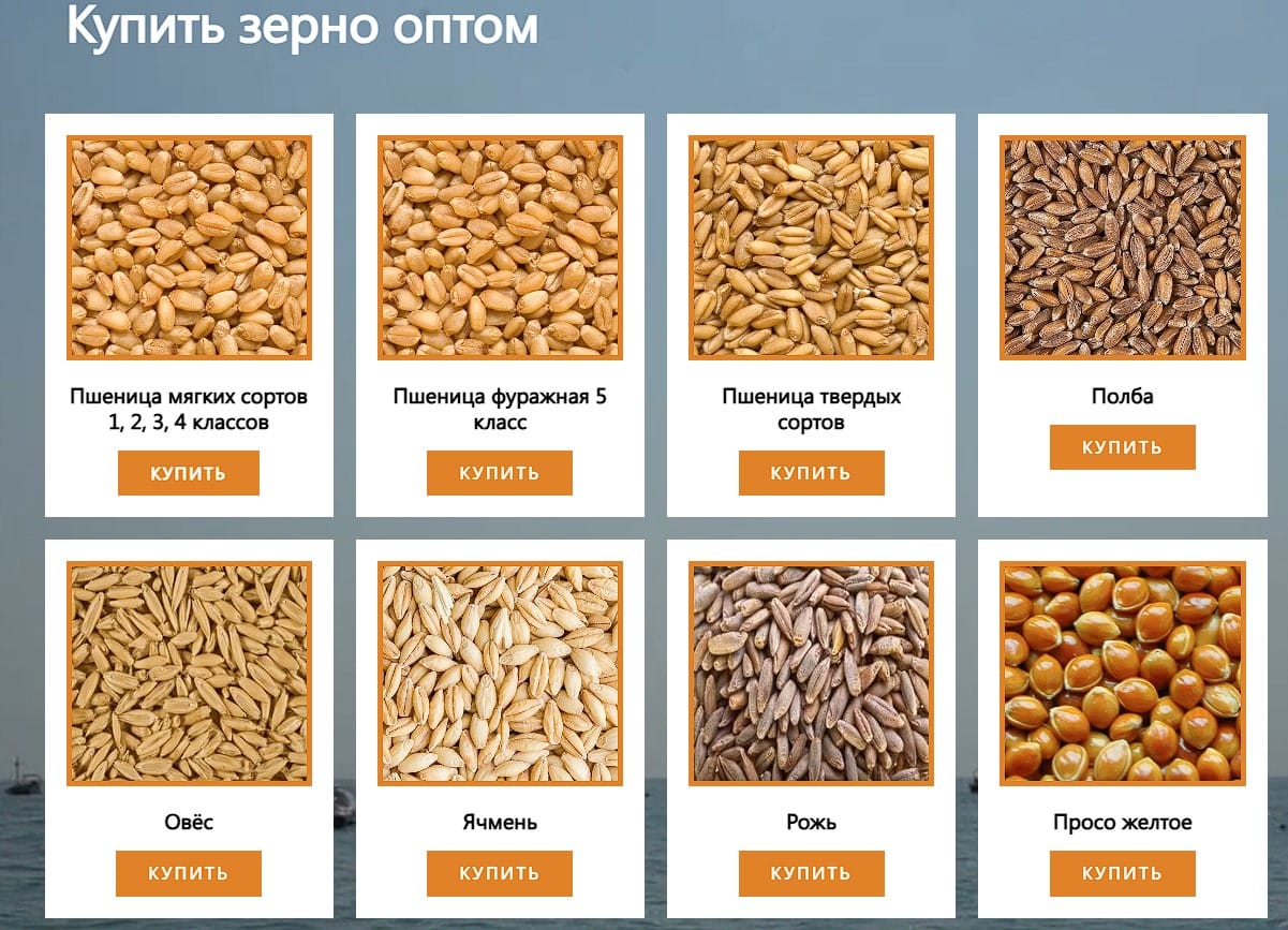 ООО Агропром - оптовая реализация продуктов питания экспорт — фото 4