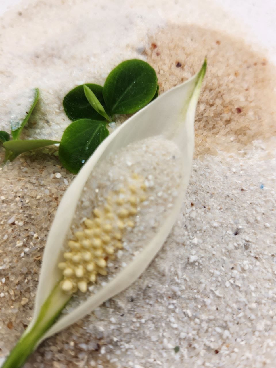 Силикагель для сушки цветов — фото 3