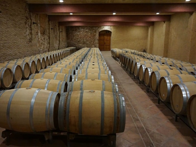 НЕБОЛЬШАЯ ВИНОДЕЛЬНЯ В ИСПАНИИ — фото 6