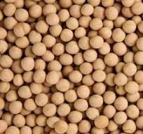 Продаю семена гороха