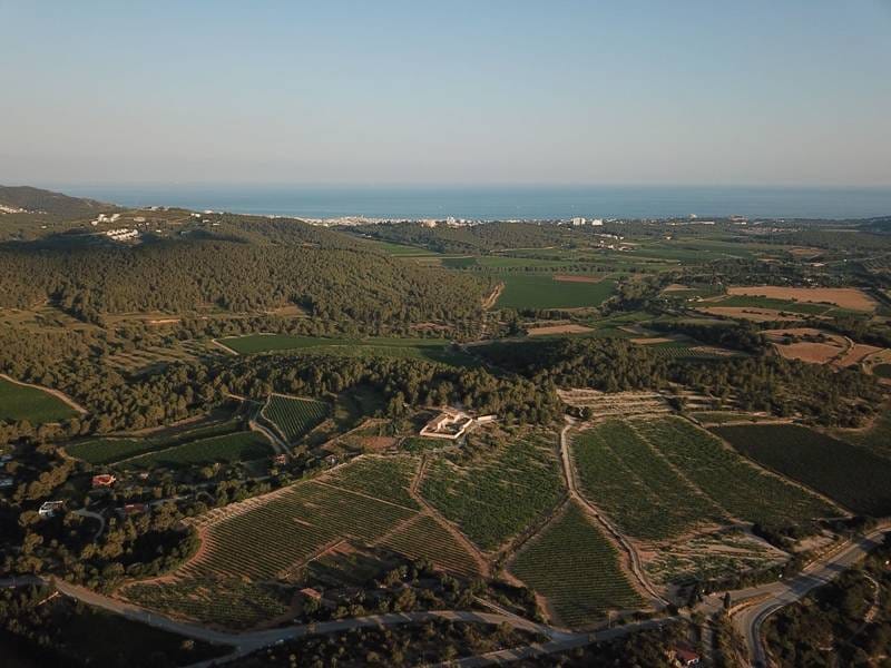 ПОМЕСТЬЕ С ВИНОГРАДНИКАМИ В ИСПАНИИ — фото 2