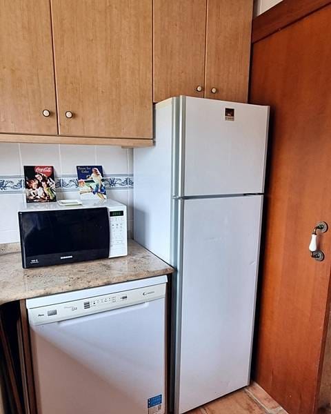 ПЛАНТАЦИЯ МАНДАРИНОВ В ИСПАНИИ — фото 14