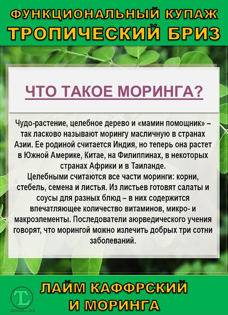 Функциональный купаж Тропический Бриз. Моринга и Каффрский лайм — фото 2