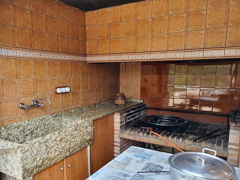 ПЛАНТАЦИЯ МАНДАРИНОВ В ИСПАНИИ — фото 18