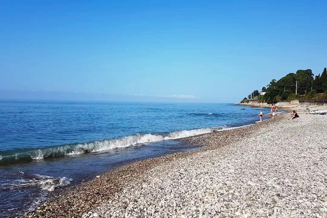 Дом жилой с садом 25 соток и море напротив! — фото 6