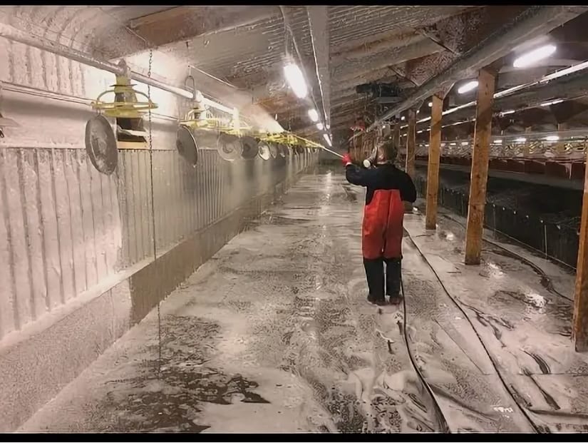 Мойщик на ферму Черкизово