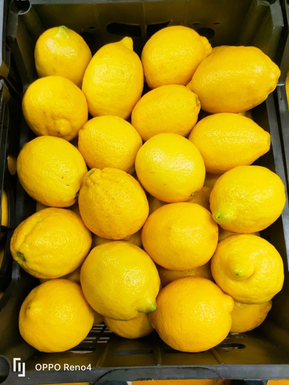 Лимон купить — фото 5