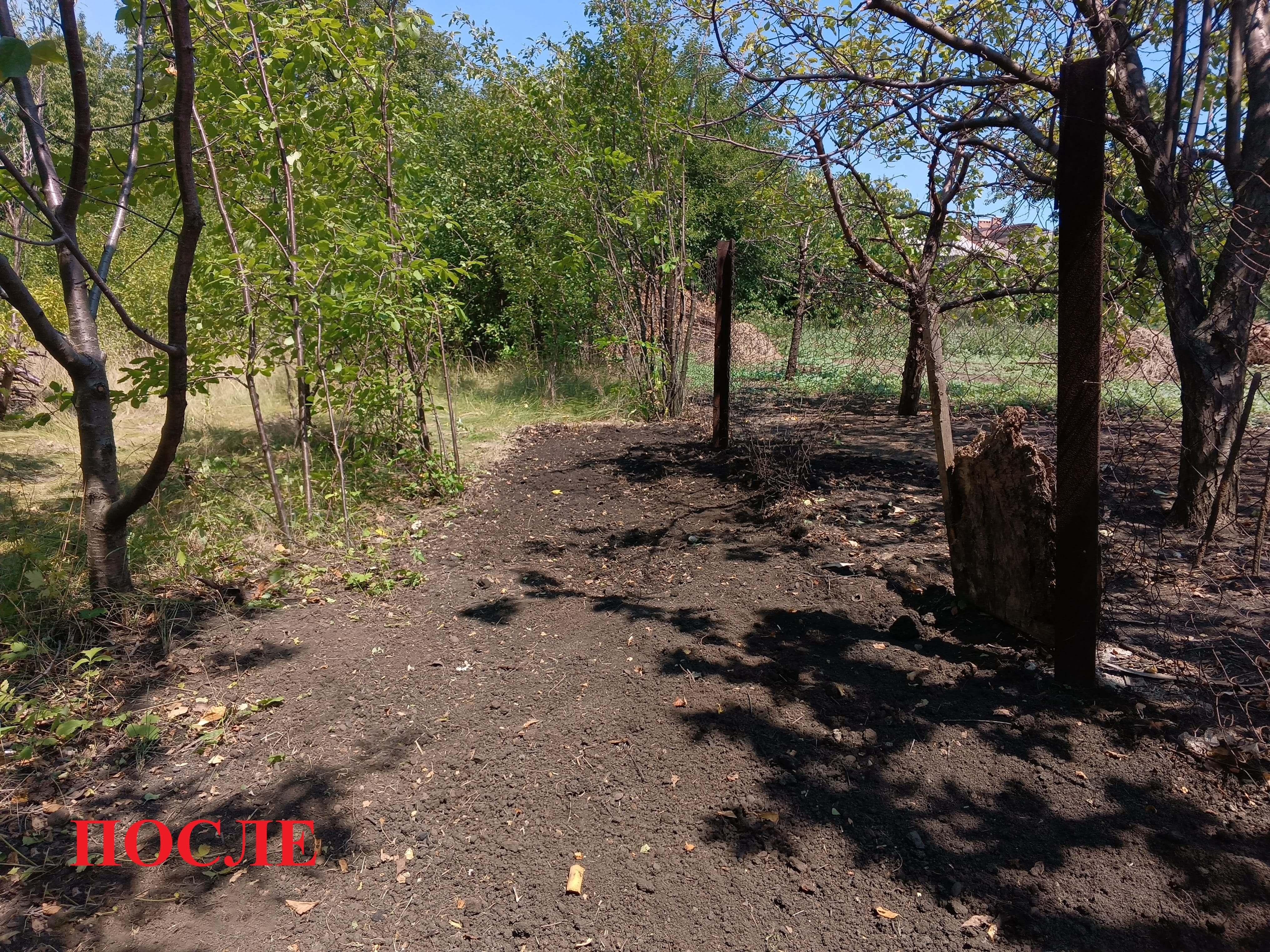 Уборка приусадебного участка, территории. — фото 4
