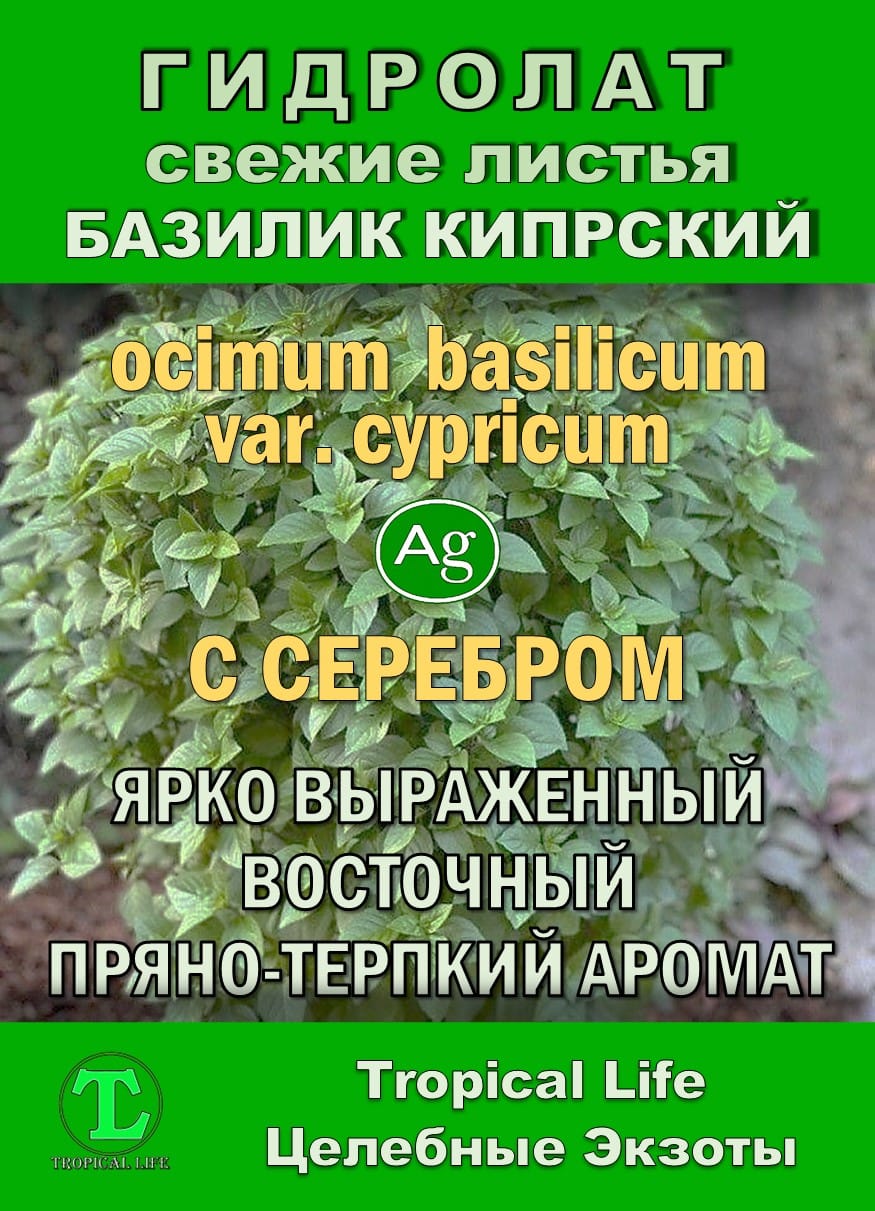 Гидролат Кипрского Базилика. ProGynuru. С наносеребром. — фото 2