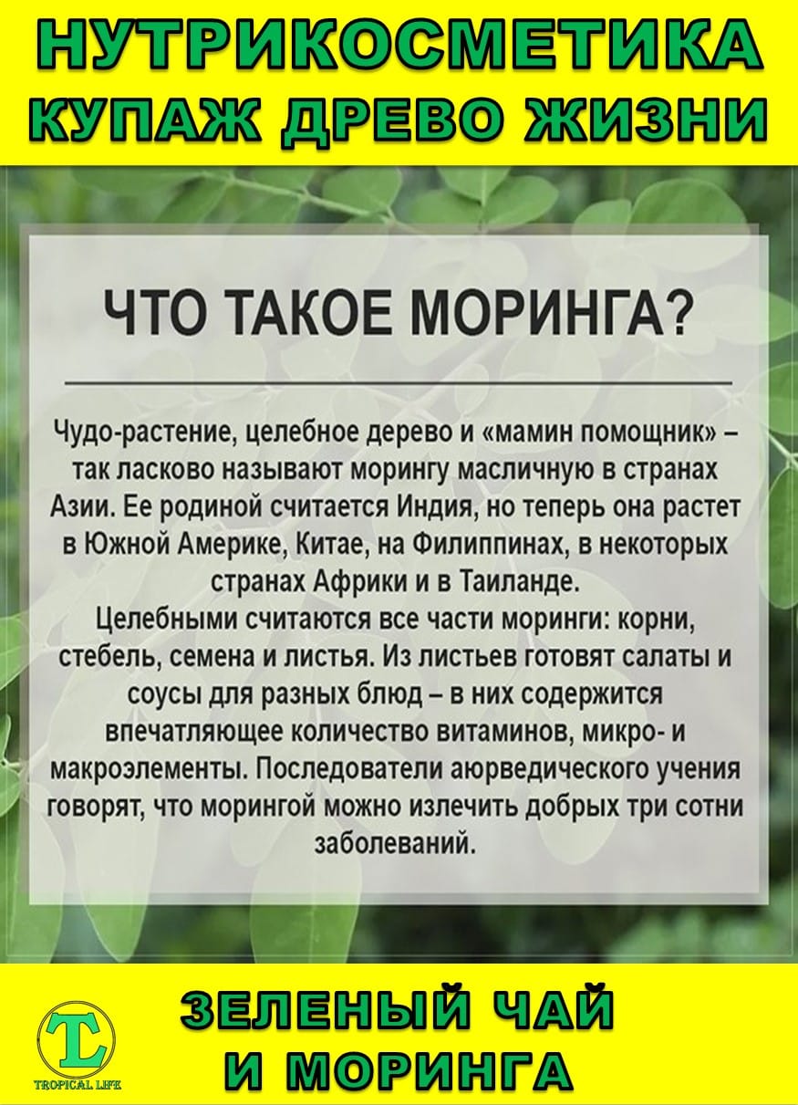 Нутрикосметика Купаж Древо Жизни Моринга и Зеленый чай — фото 2