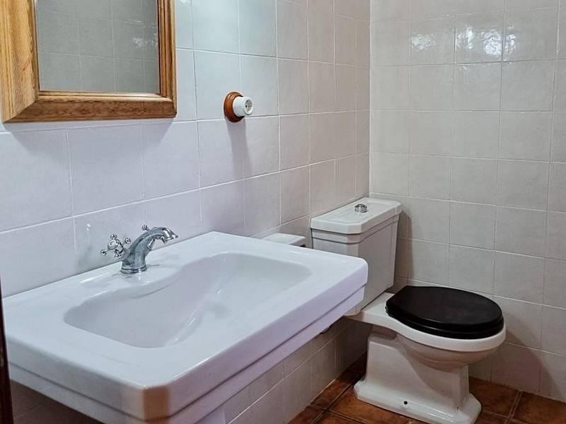 ПЛАНТАЦИЯ МАНДАРИНОВ В ИСПАНИИ — фото 16