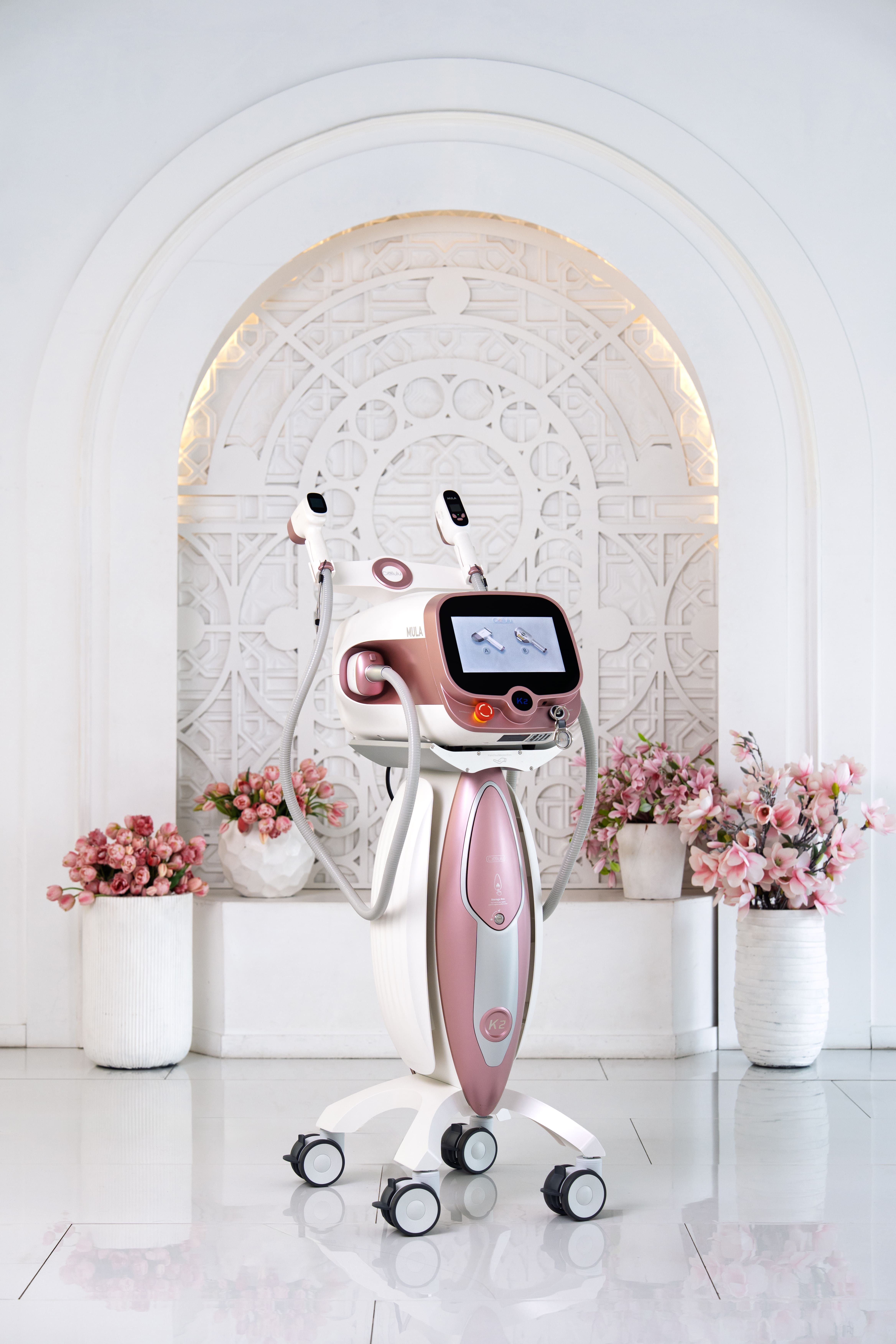 IPL аппарат BBI MULA Ruikd