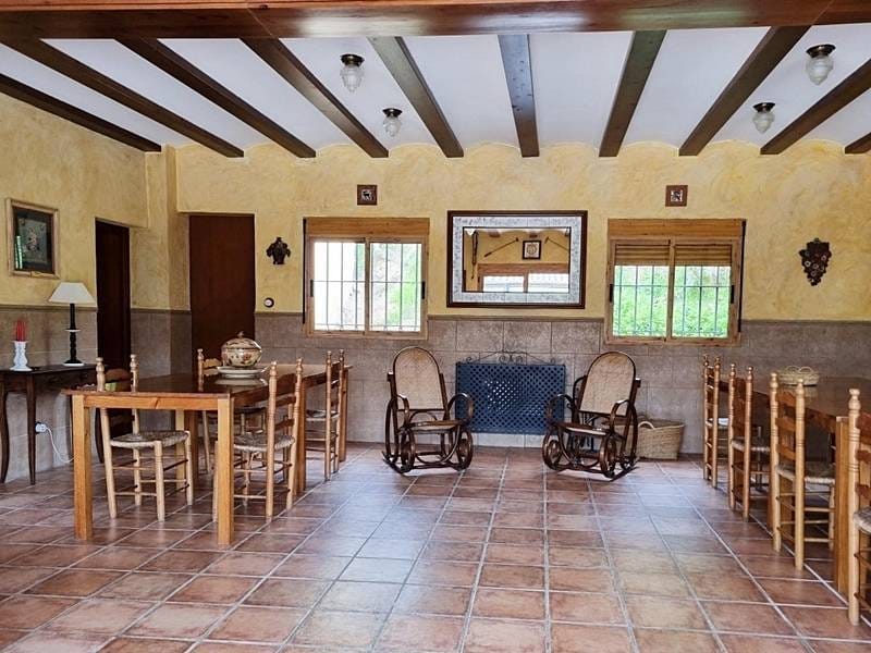 ПЛАНТАЦИЯ МАНДАРИНОВ В ИСПАНИИ — фото 3