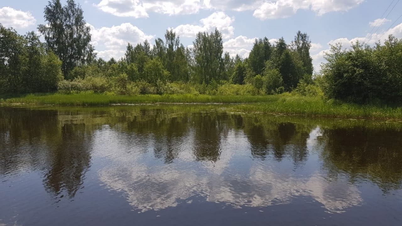 Земельный участок 57,2535 Га в дер. Панютино Калязинского района Тверской области — фото 6