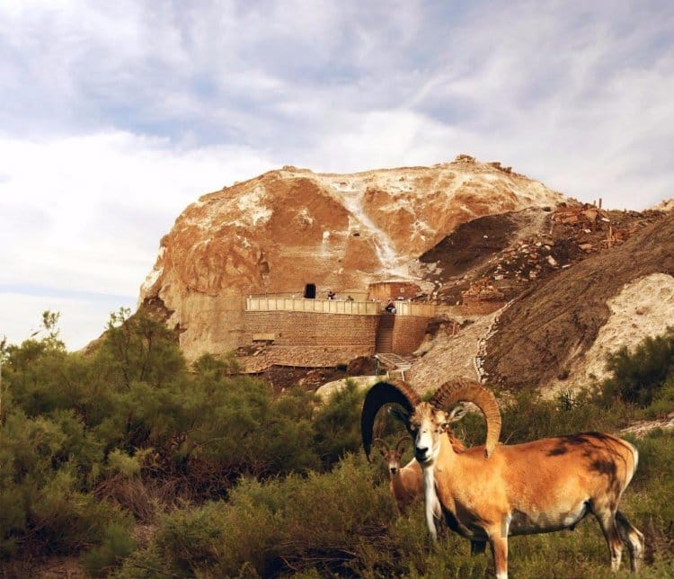 Такси Актау по святым местам Бекет ата, Шопан ата, Караман ата Адай ата