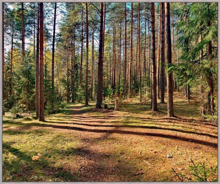 Земля у реки Дон — фото 9