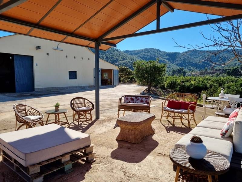 ПЛАНТАЦИЯ МАНДАРИНОВ В ИСПАНИИ — фото 23