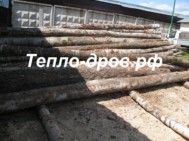 Покупаем кругляк березу