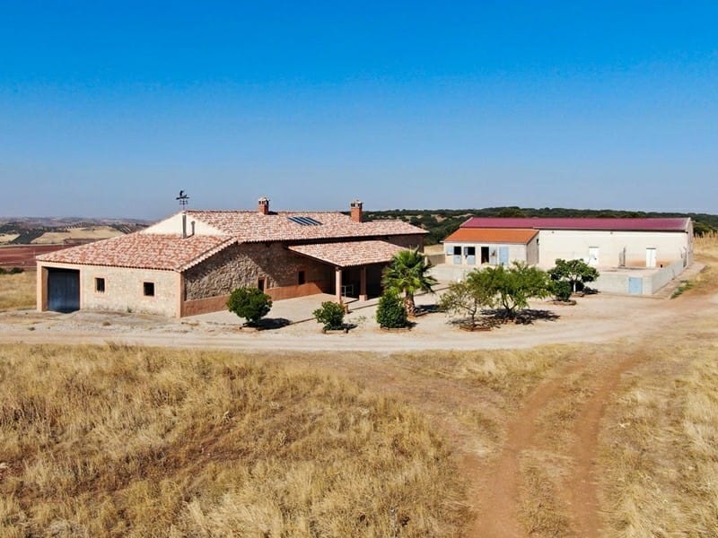 НЕБОЛЬШАЯ ВИНОДЕЛЬНЯ В ИСПАНИИ — фото 2