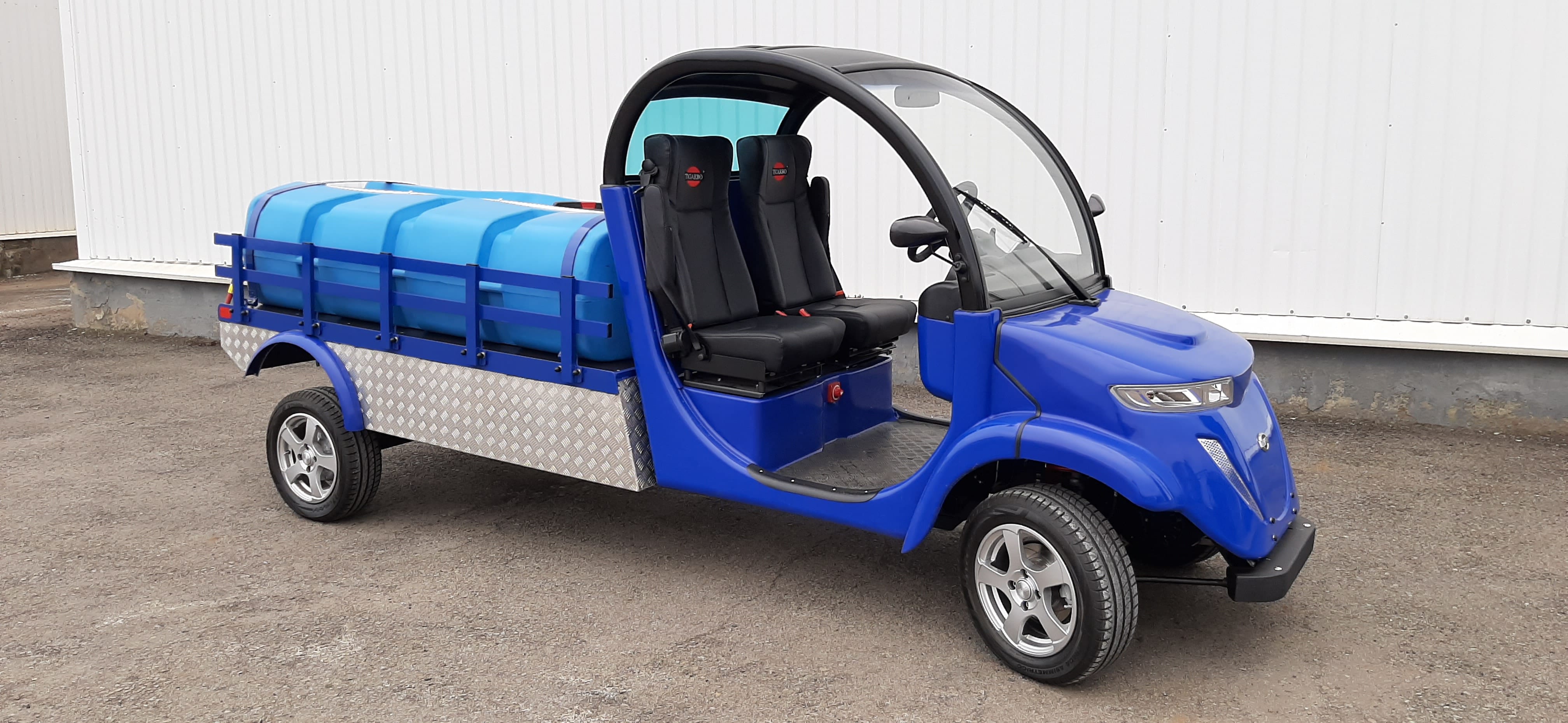 Электромобиль Elecar 5E-TIGARBO — фото 3