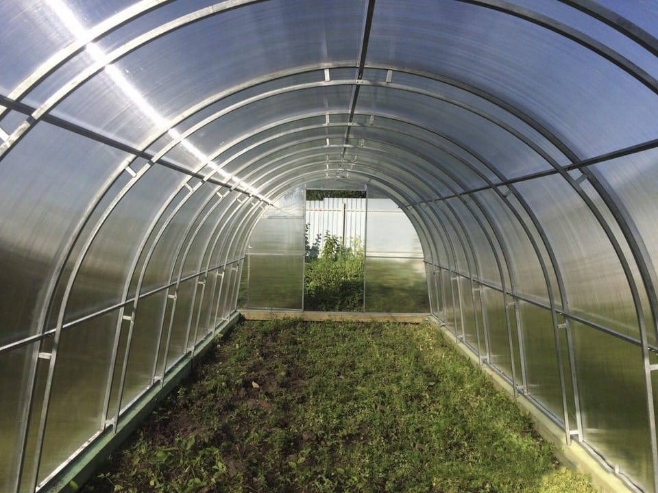 Теплицы под поликарбонат — фото 2