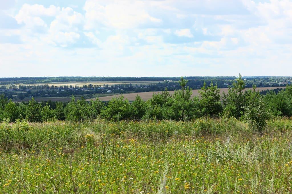 Земля у реки Дон — фото 3