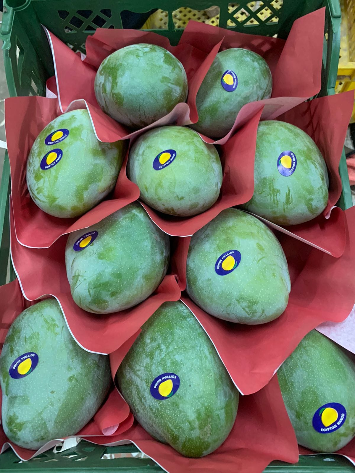Манго оптом