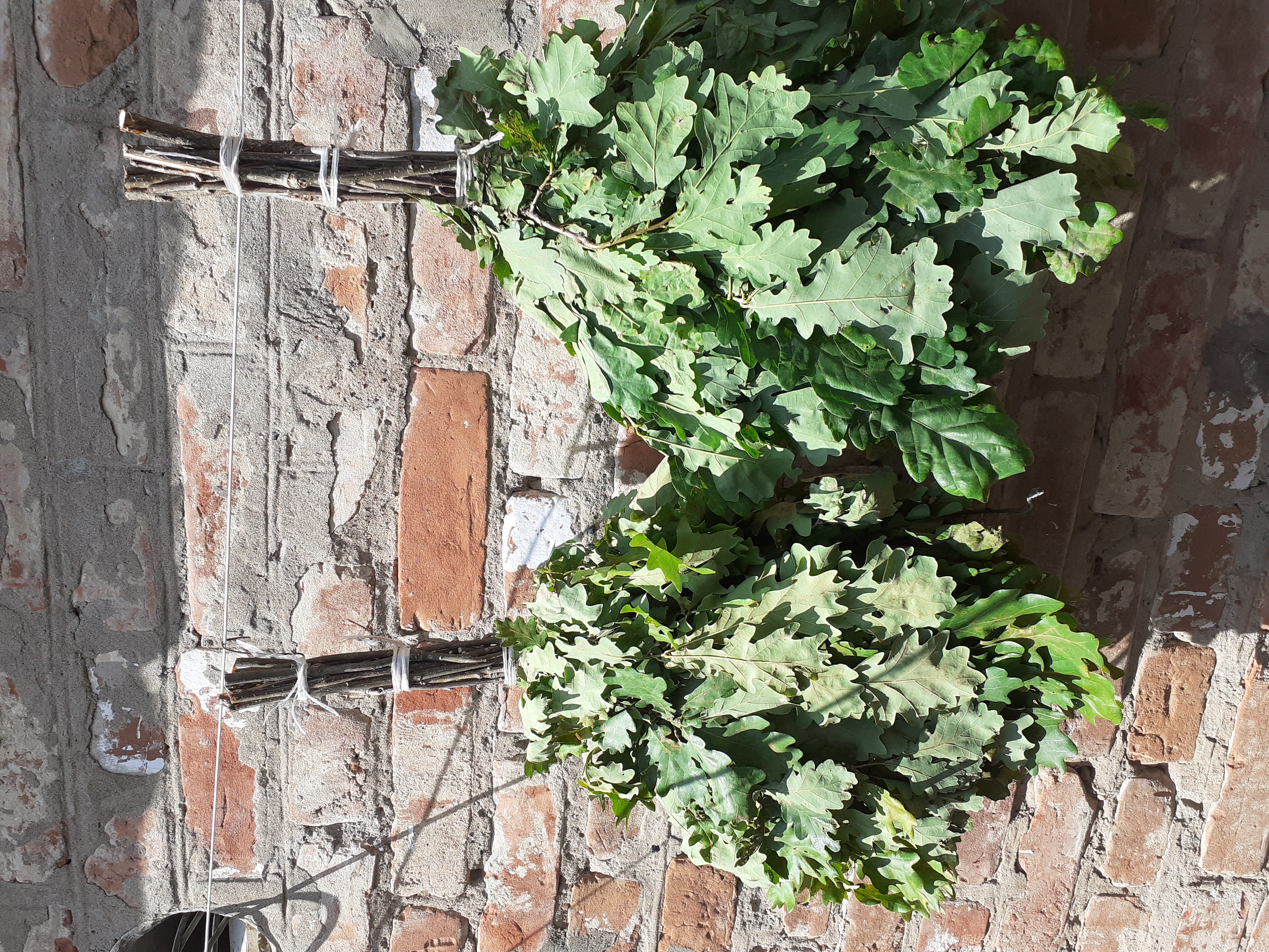 Веники для бани.