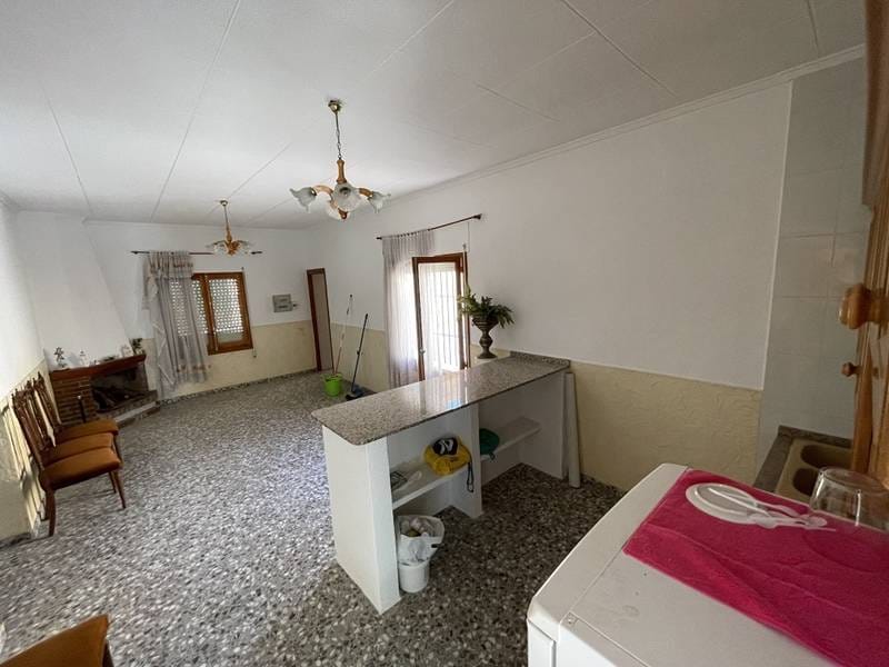 ПЛАНТАЦИЯ ЦИТРУСОВЫХ В ИСПАНИИ — фото 19