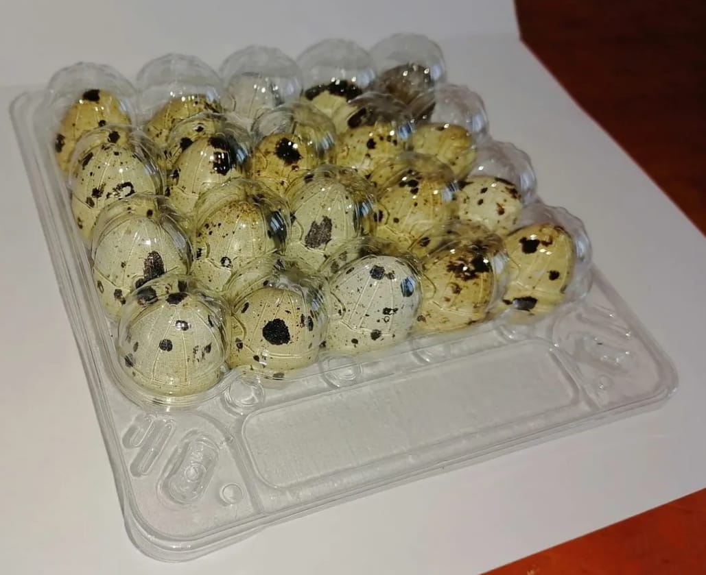 Упаковка для перепелиных яиц на 20 штук