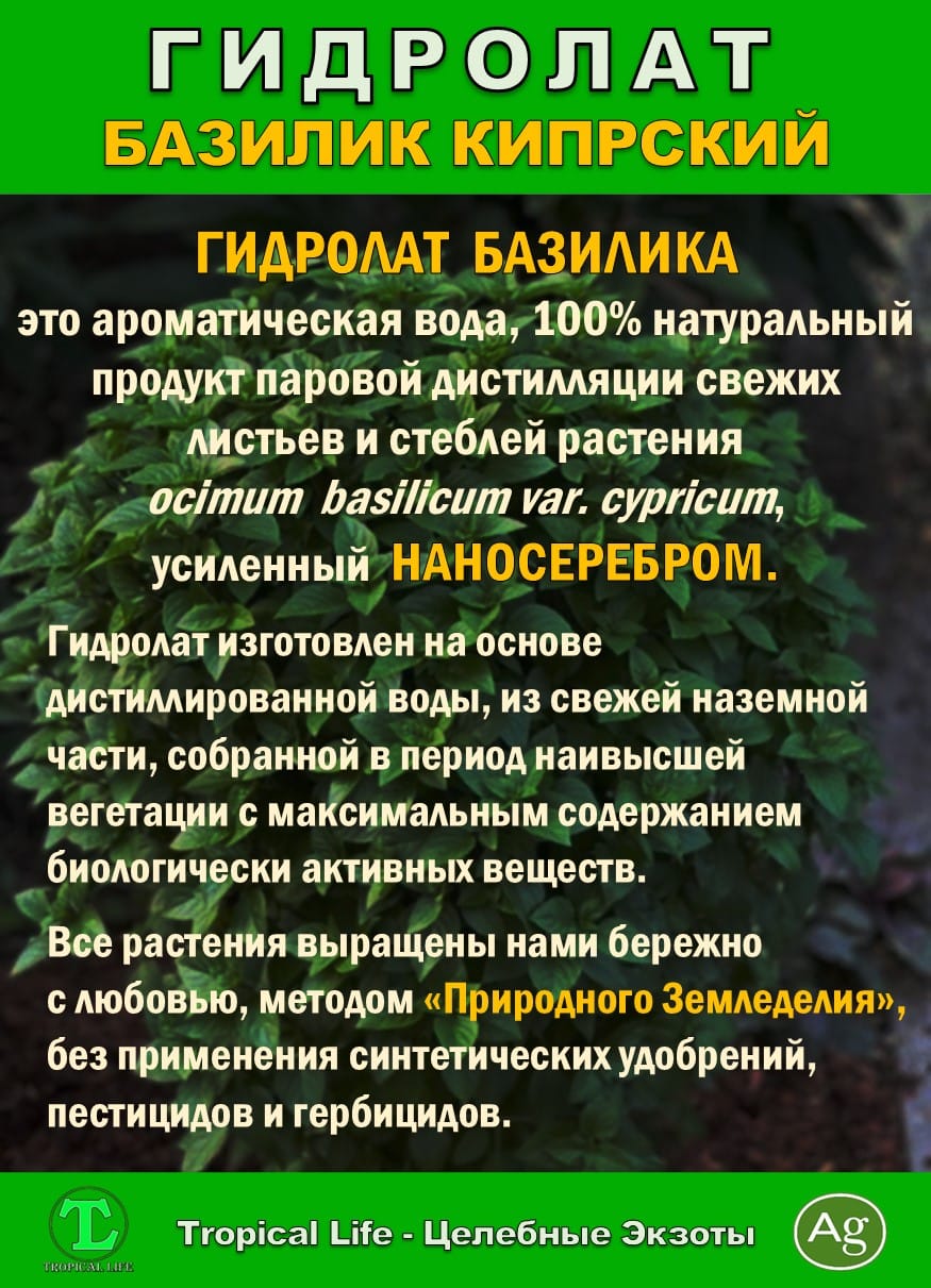 Гидролат Кипрского Базилика. ProGynuru. С наносеребром. — фото 3
