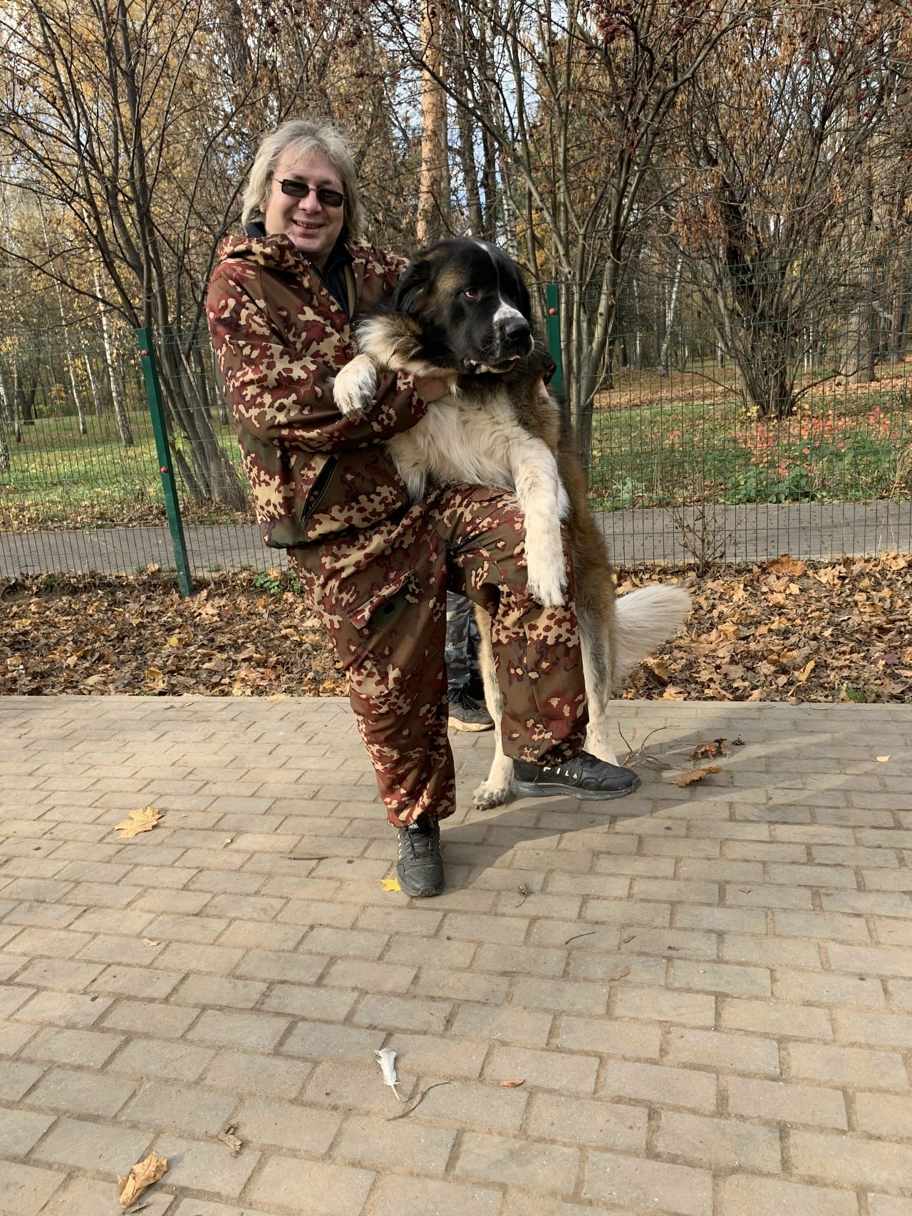 Кинолог: профессиональная дрессировка собак — фото 3