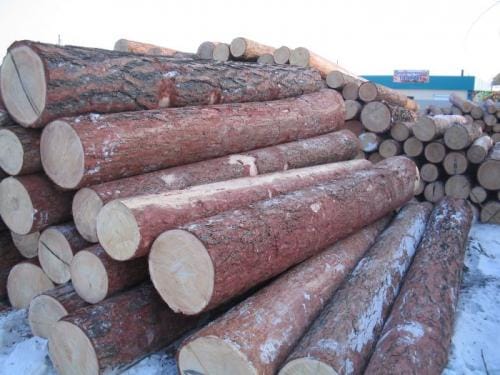 Лиственница необрезная доска продажа оптом.