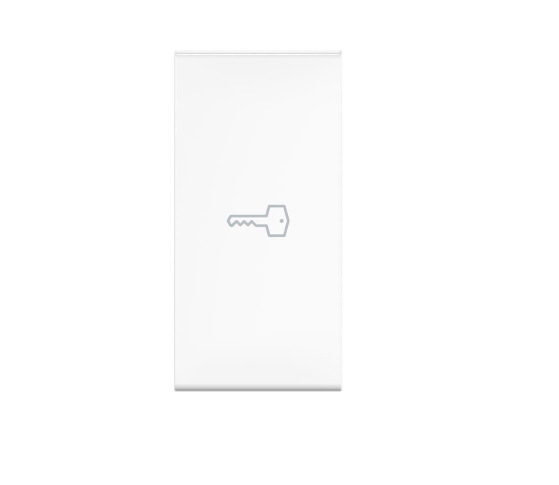 Клавиша CADUCEUS ALING EXPERIENCE, 1М, с символом "ключ"