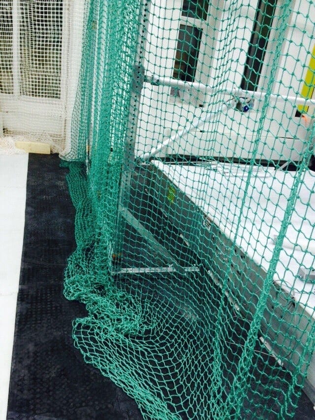 Недорогая резиновая плитка для спортивного зала Резиплит -11 — фото 7